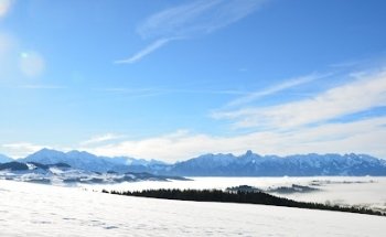 S. Barmettler Immobilien GmbH