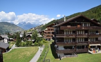 Williner Max Immobilien