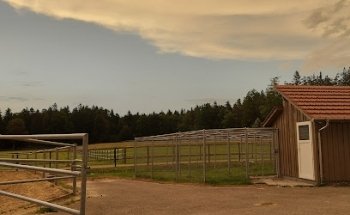 Gestüt Schlatt GmbH