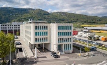 Niederer AG Immobilien und Verwaltungen