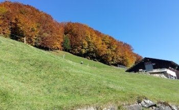 MM Marty Immobilien AG