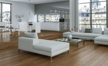 Calissa Immobilier