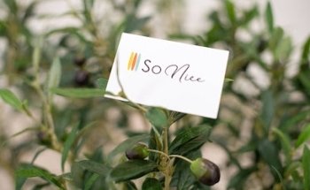SoNice Immobilier