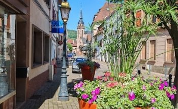 Laforêt Molsheim