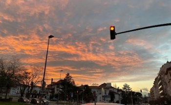 Pitcher Property Bayonne