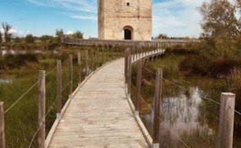 Stéphane Plaza Immobilier Pôle Villages I Agence immobilière Aigues Mortes I Saint Gilles I Vauvert I Générac