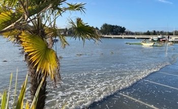 A.I.S (Agence Immobilière Service)