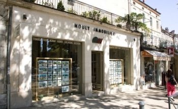 Real Estate Agency Mouly