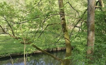 immobilienleben GmbH