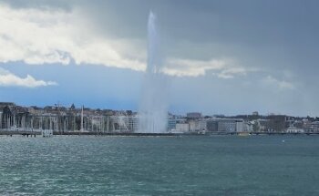 Esther Lauber real estate agency