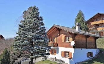 Agence immobilière BUSSARD