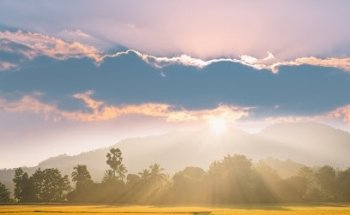 Gehring Peace of Mind