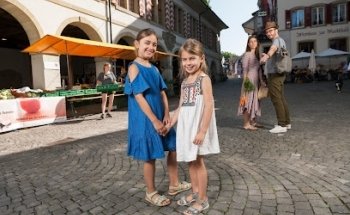 Redinvest Immobilien AG, Zofingen