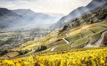 EREN Immobilier Sàrl