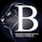 BRING'S Réseau et Agence Immobilière