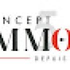 CONCEPT IMMO 54