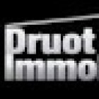 Druot Immobilier