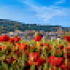 Guillaume Maillé Immobilier Capifrance