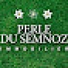 PERLE DU SEMNOZ IMMOBILIER