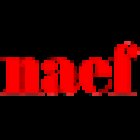 Naef Immobilier Neuchâtel SA